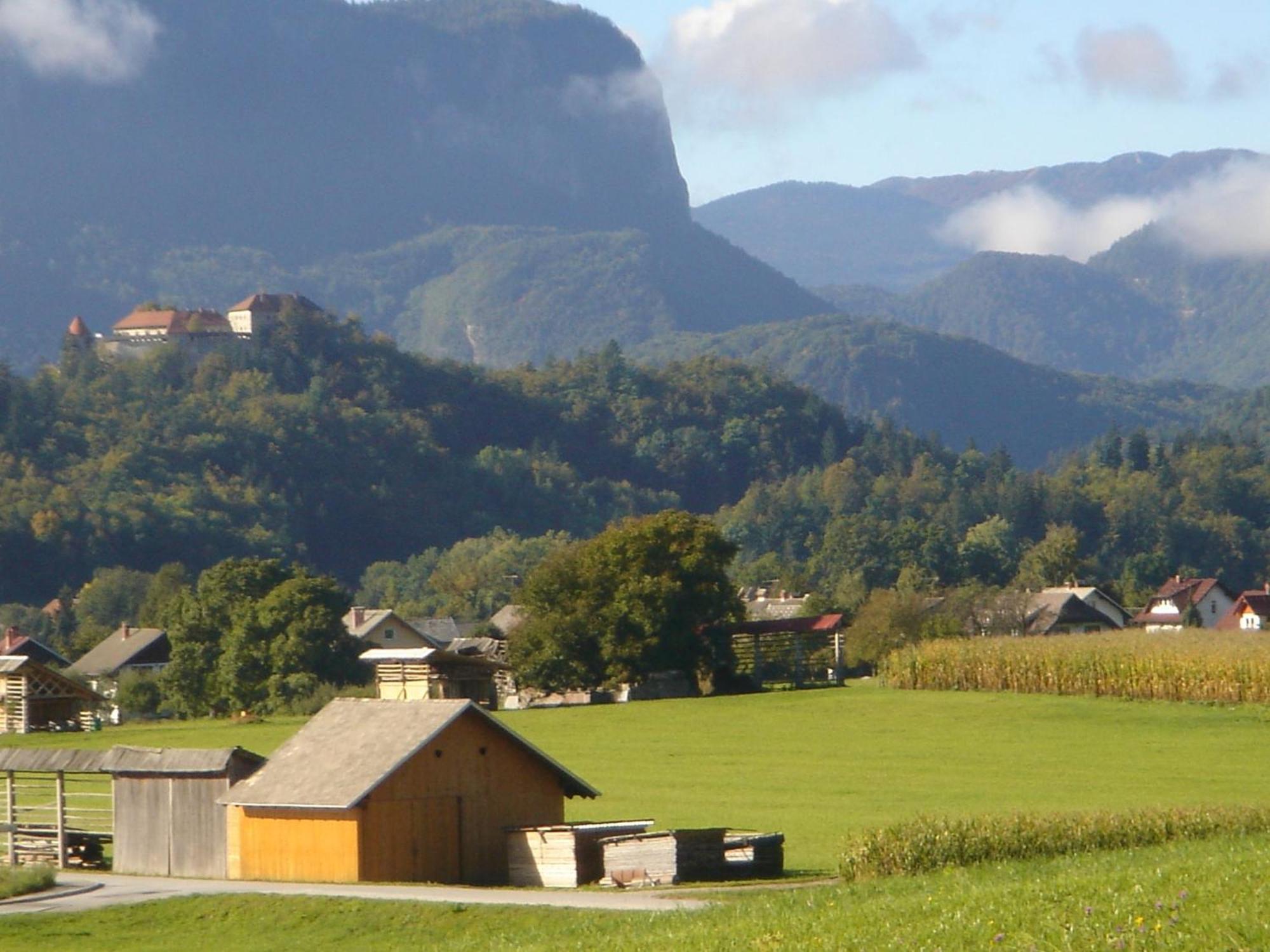 Villa Dei Sogni Bled Eksteriør bilde